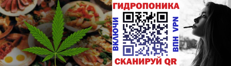 купить наркоту  Бологое  shop как зайти  Cannafood конопля 