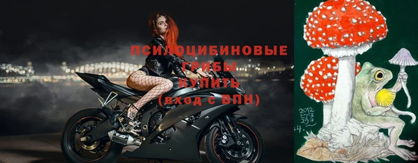 СК Алексеевка